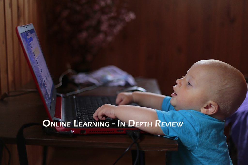 Online Learning In Depth Review